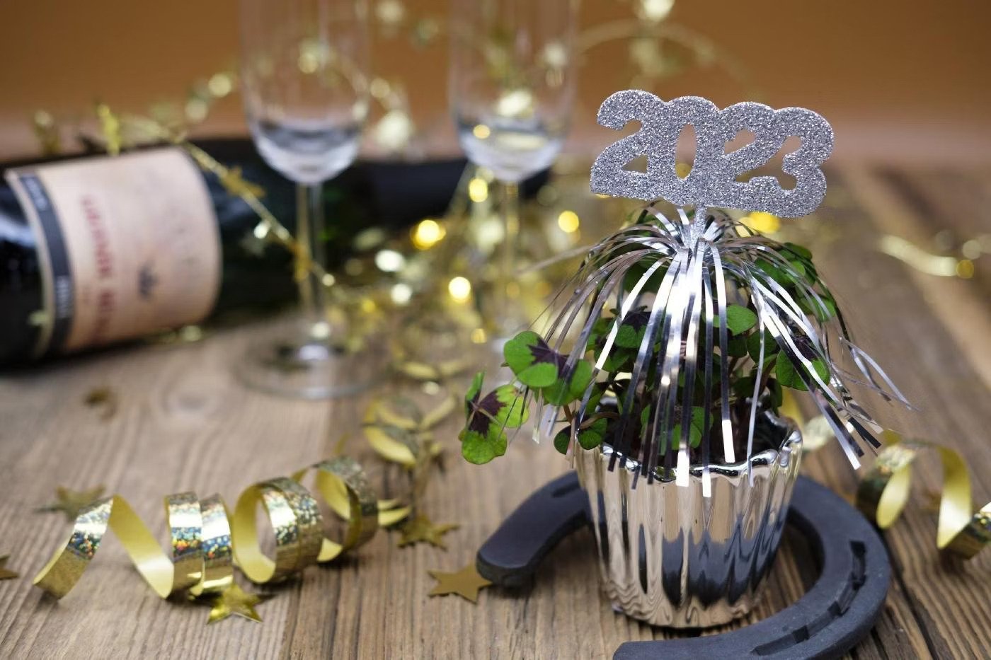 Kranus Edera Silvester 2023