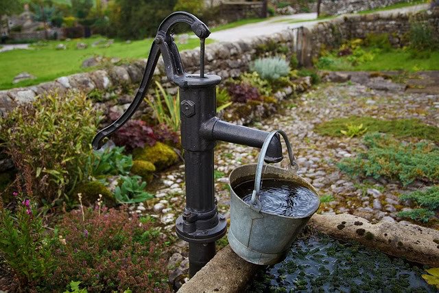 Kranus Edera Brunnen Pumpe Wasser